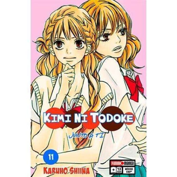 Manga Kimi Ni Todoke 11 - Image 1
