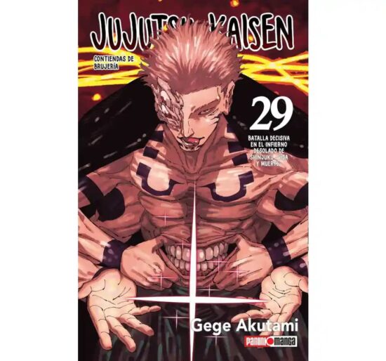 jujutsu kaisen 29