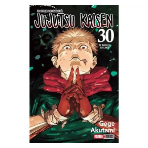 jujutsu kaisen 30