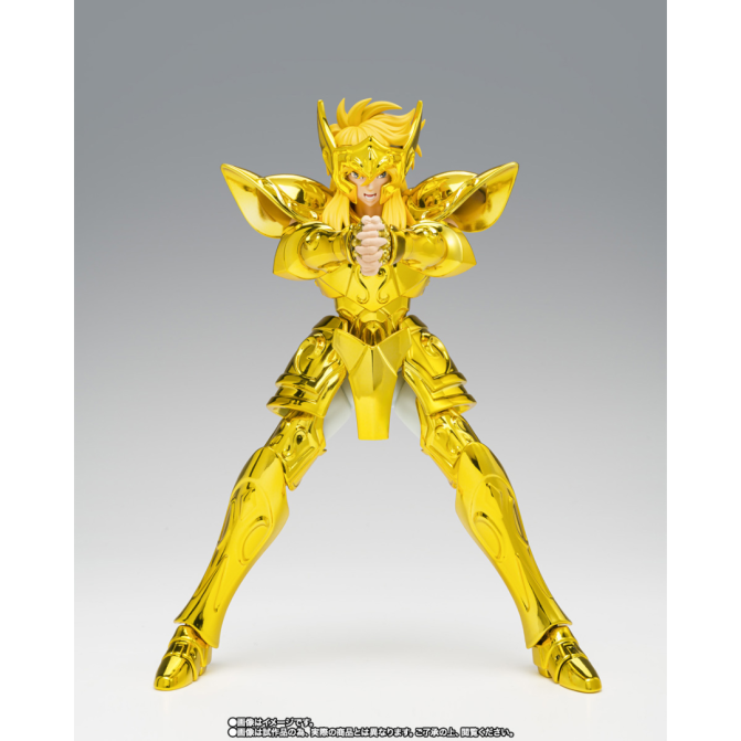 Tamashii Nations: Saint Cloth Myth EX – Aquarius Hyoga -Inheritor Of The Gold Cloth- - Image 5