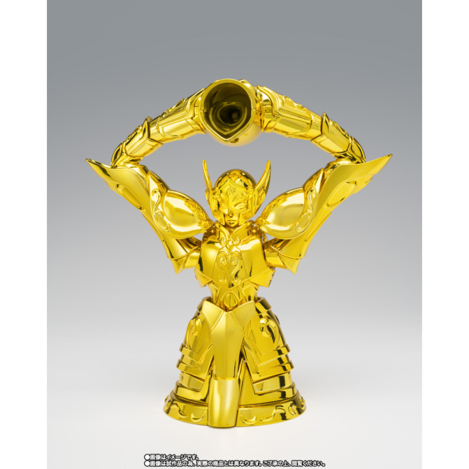 Tamashii Nations: Saint Cloth Myth EX – Aquarius Hyoga -Inheritor Of The Gold Cloth- - Image 9