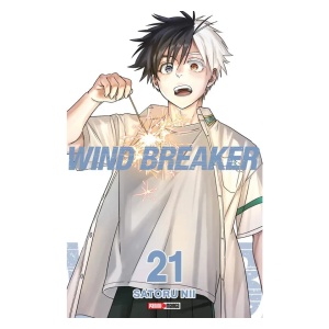 Wind Breaker 21
