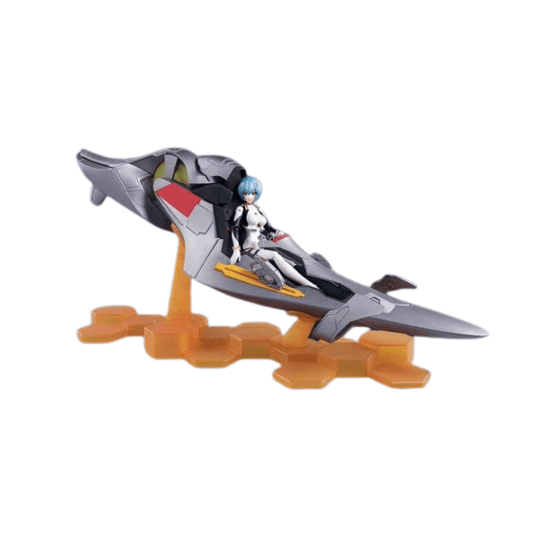 ReiEvaCap1 ReiEvaCap1